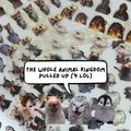 Meme Bundle