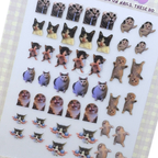 Meme Bundle